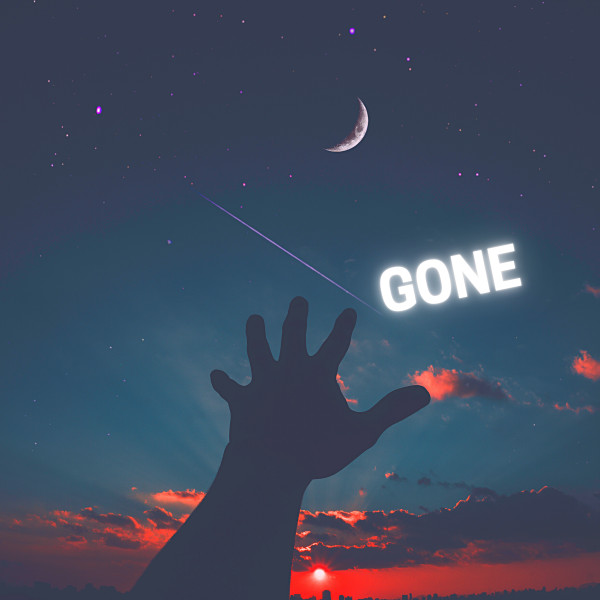 Illnest [Gone] (Single)